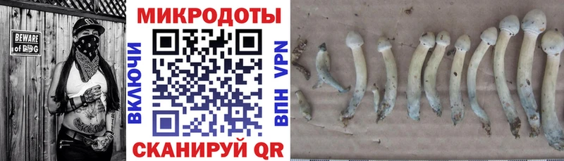Псилоцибиновые грибы Cubensis  Макаров 